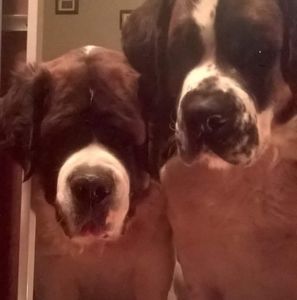 Meet your Posher, Jana